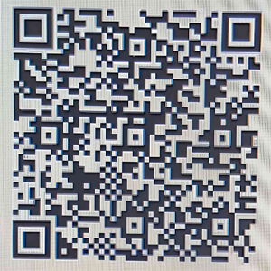 eSewa QR